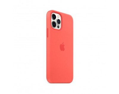 Apple apžvalga